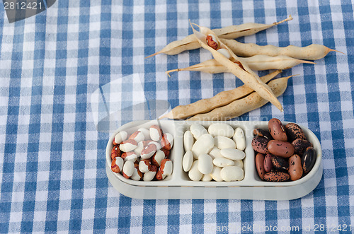 Image of beans on three piece plate on plaid background 