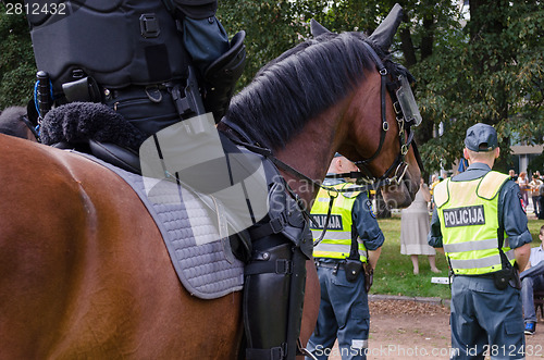 Image of mounted police horse and policeman public event  