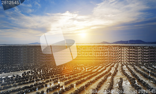 Image of Oyster beach in HongKong Pak Nai sunset