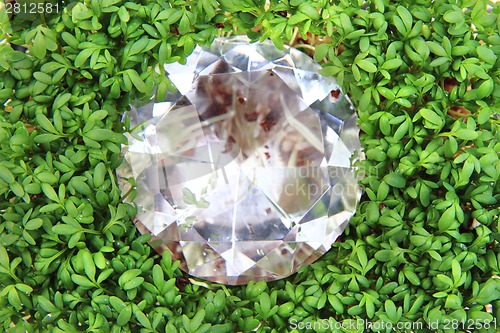 Image of watercress and diamond