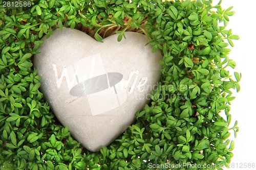 Image of watercress and stone heart