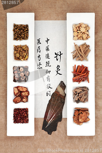 Image of Chinese Herbal Therapy
