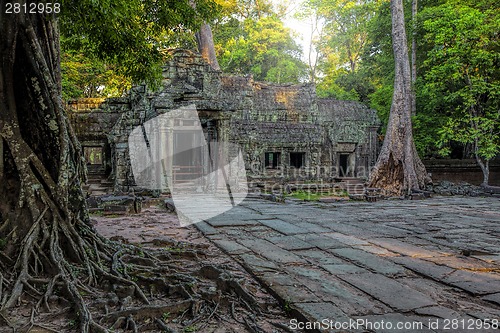 Image of Sunrise over Ta Phrom