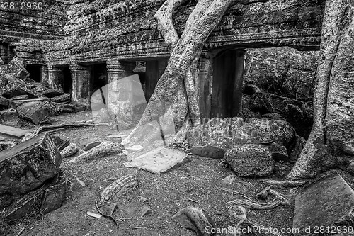 Image of Sunrise over Ta Phrom