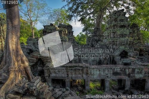 Image of Sunrise over Ta Phrom