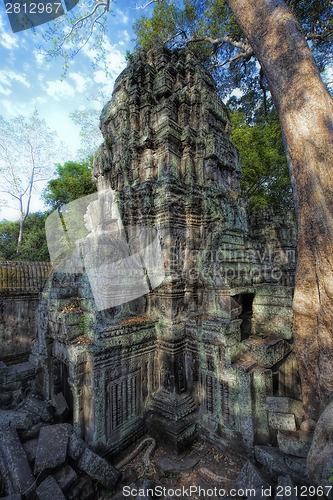 Image of Sunrise over Ta Phrom