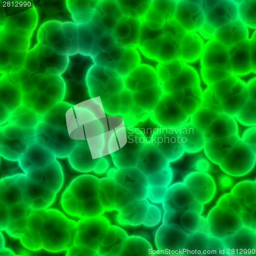 Image of Bacteria cells close up