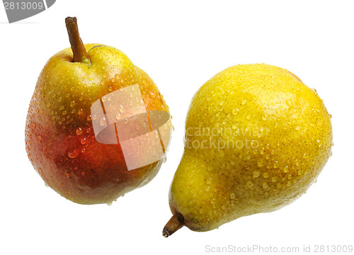 Image of Two pears