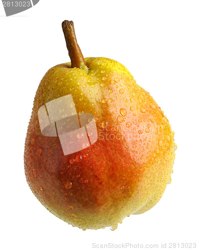 Image of Pear 