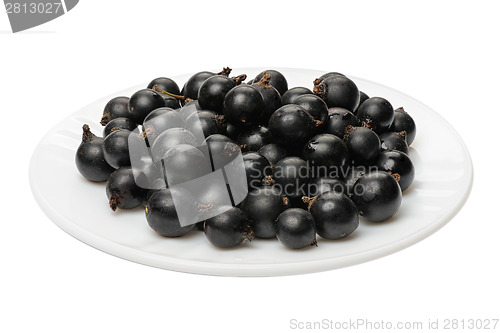 Image of Blackcurrant 