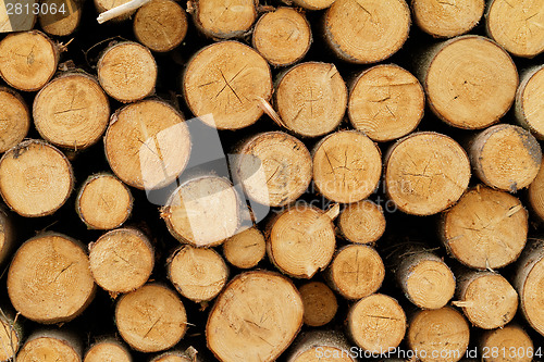 Image of Logging