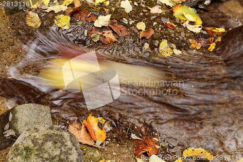 Image of Lake in autumn