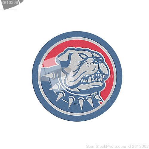 Image of Metallic Angry Bulldog Dog Mongrel Head Mascot