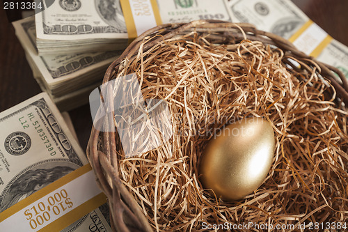 Image of Golden Egg in Nest and Thousands of Dollars Surrounding