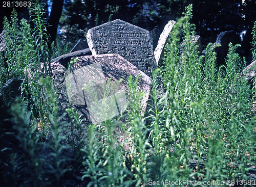 Image of Old Jewish Cemetery