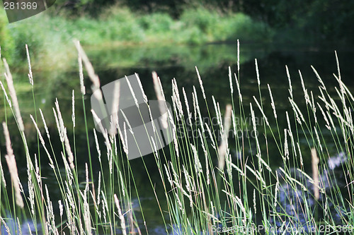 Image of River scenic