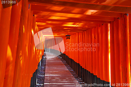 Image of Fushimi Inari Taisha Shrine in Kyoto city