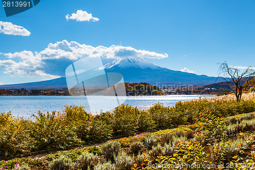 Image of Mount Fuji from lake Kawaguchiko