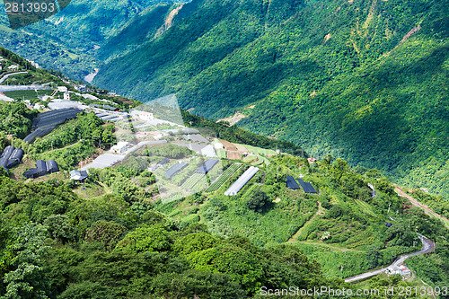 Image of Cingjing farm at Taiwan 