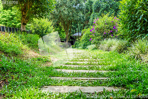 Image of Wooden walkway