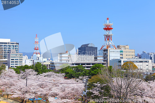 Image of Wakayama city