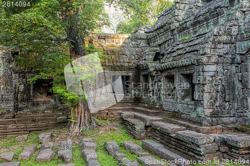 Image of Sunrise over Ta Phrom