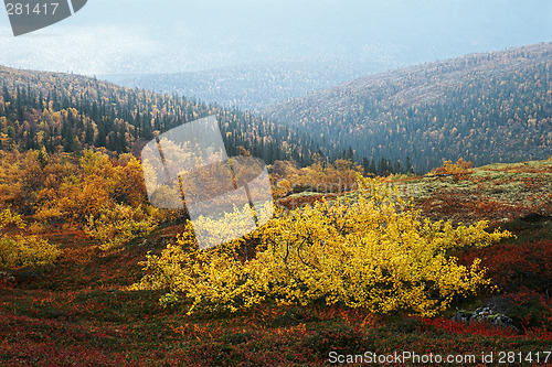 Image of Tundra in autumn 3