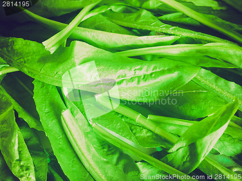 Image of Retro look Salad picture
