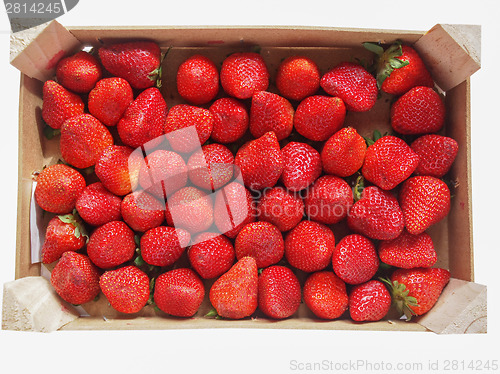 Image of Strawberries fruits