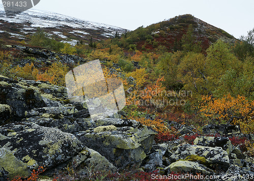 Image of Autumn in Iolga-tundra