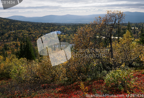 Image of Autumn in Iolga-tundra 2