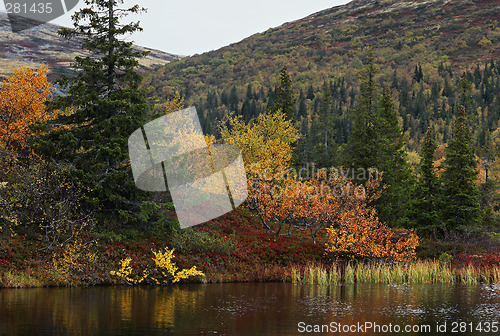 Image of Autumn in Iolga-tundra 3