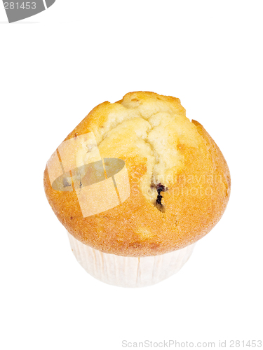 Image of Blueberry Muffin
