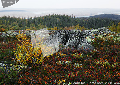 Image of Autumn in Iolga-tundra 4