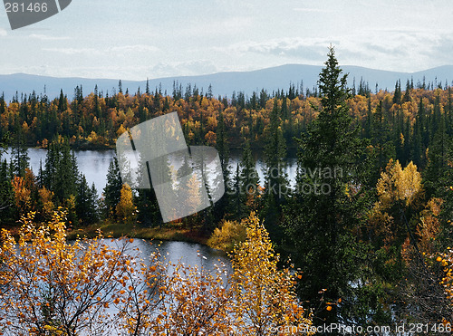 Image of Autumn in Iolga-tundra 5