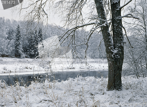 Image of Winter on the Luga-river