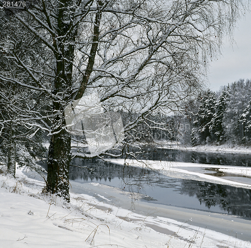 Image of Winter on the Luga-river 2