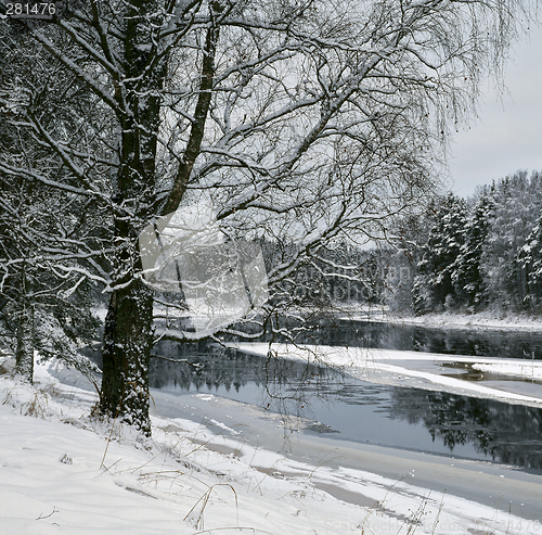 Image of Winter on the Luga-river 2