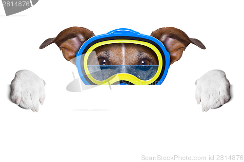 Image of scuba dog