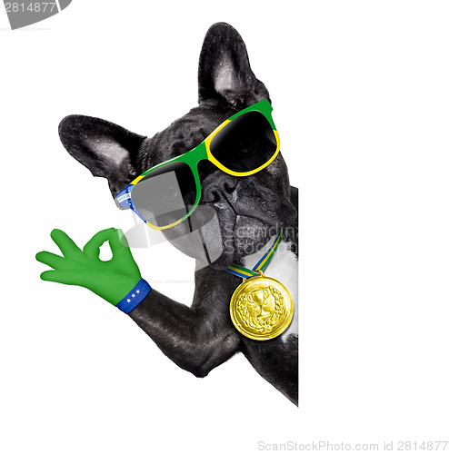 Image of brazil soccer dog  