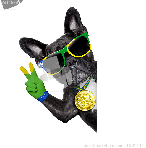 Image of brazil soccer dog  