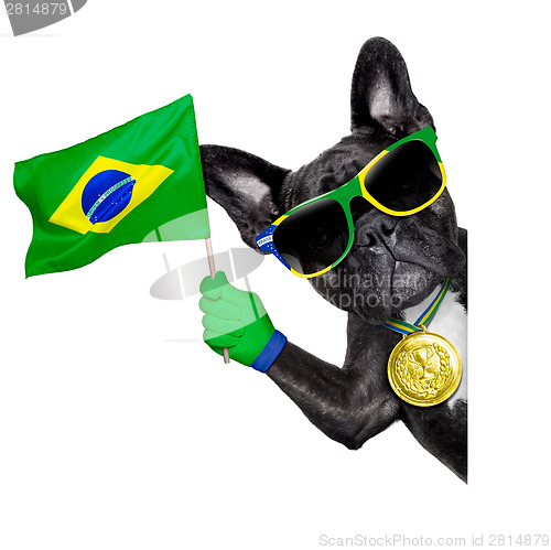 Image of brazil soccer dog  