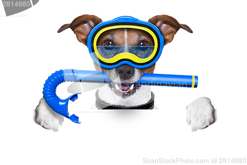 Image of scuba dog