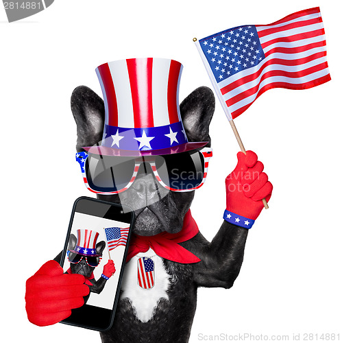 Image of american selfie dog