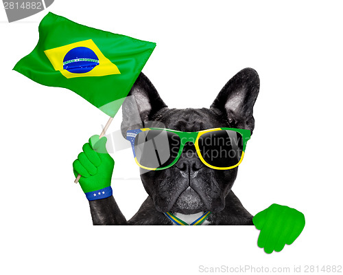 Image of brazil soccer dog  