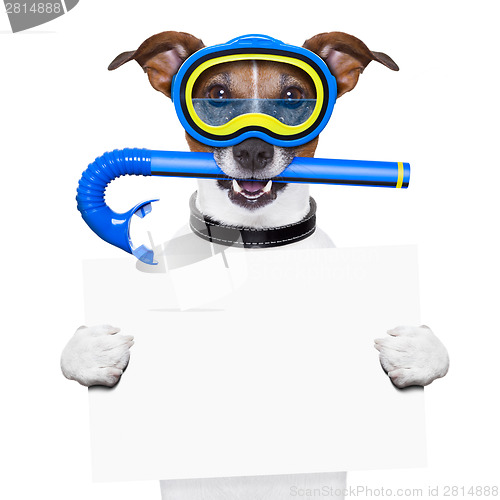 Image of scuba dog