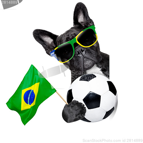 Image of brazil soccer dog  