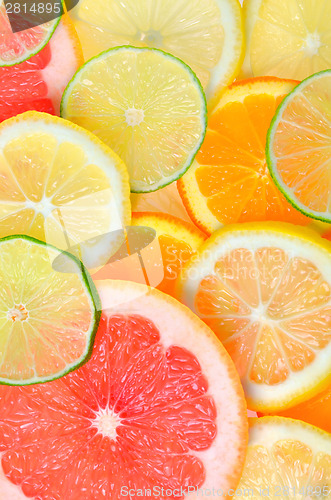 Image of Sliced citrus fruits background