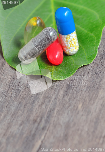 Image of vitamins, tablets and pills on green leaf