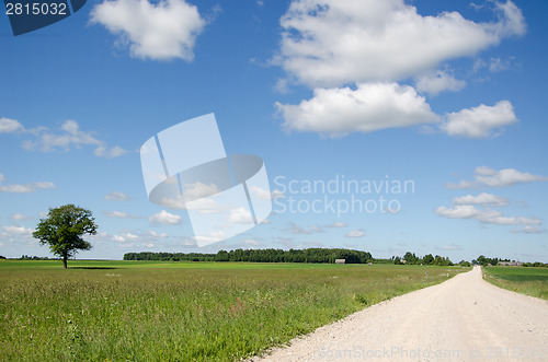 Image of gravel road and car automobile go rising dust 